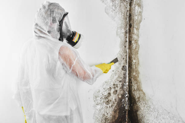 Water Damage Restoration in Windsor, NC