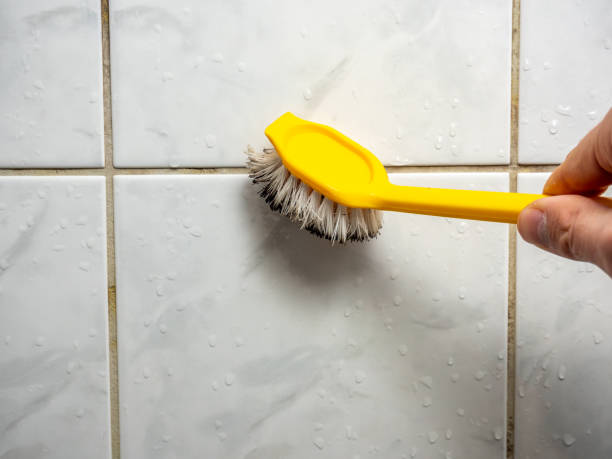 Best Professional Mold Removal  in Windsor, NC