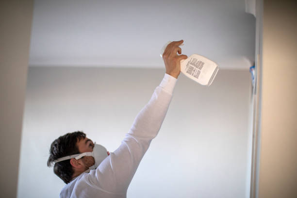 Mold Removal and Inspection in Windsor, NC