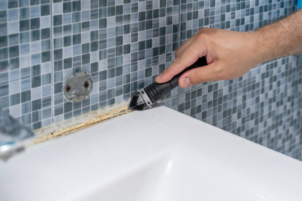 Best Home Mold Removal  in Windsor, NC