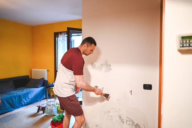 Best Residential Mold Removal  in Windsor, NC
